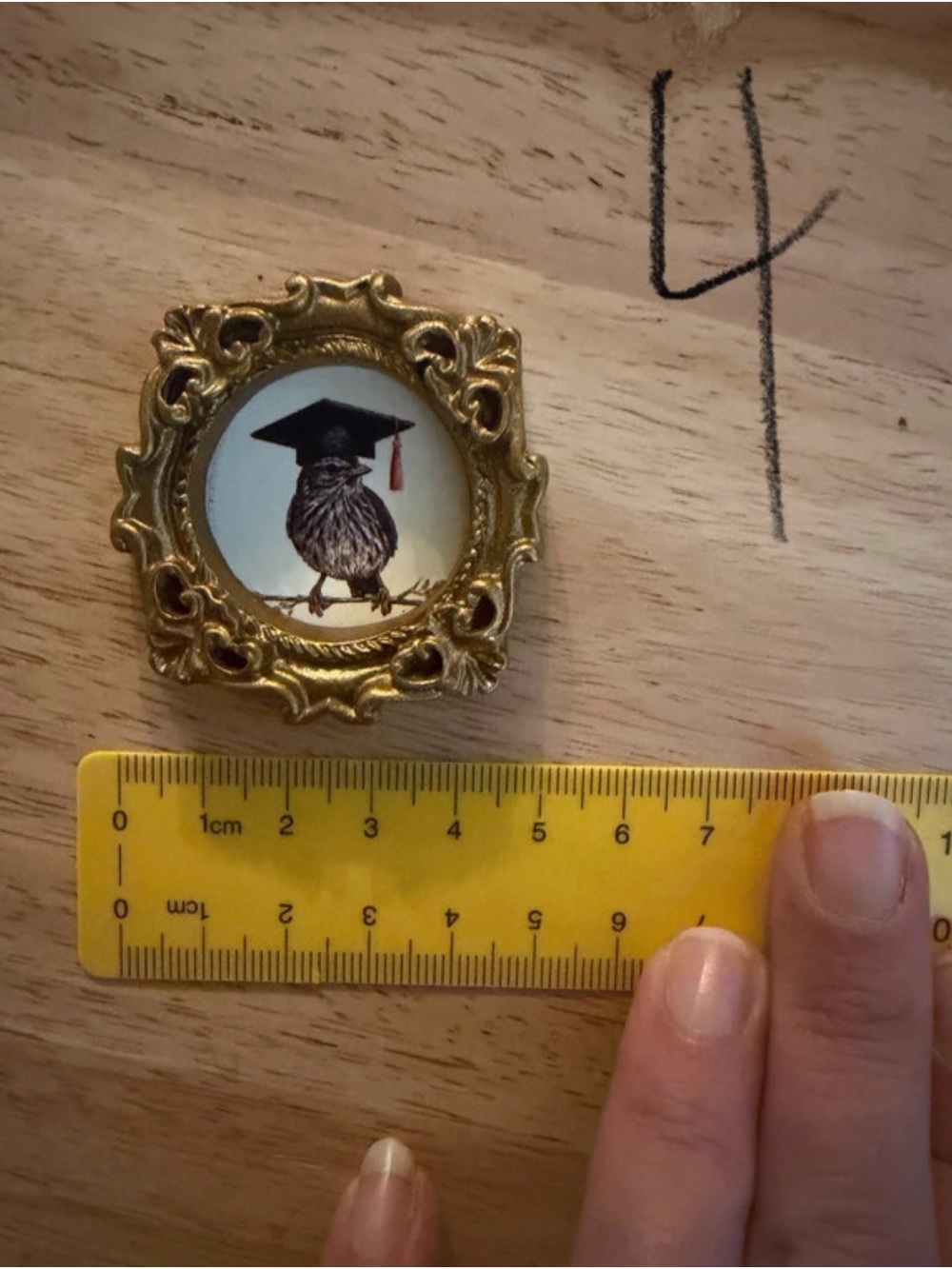 Gold Ornate Mini Wall Art Featuring Graduation Owl Illustration